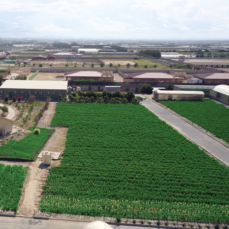 Sustainable Farming